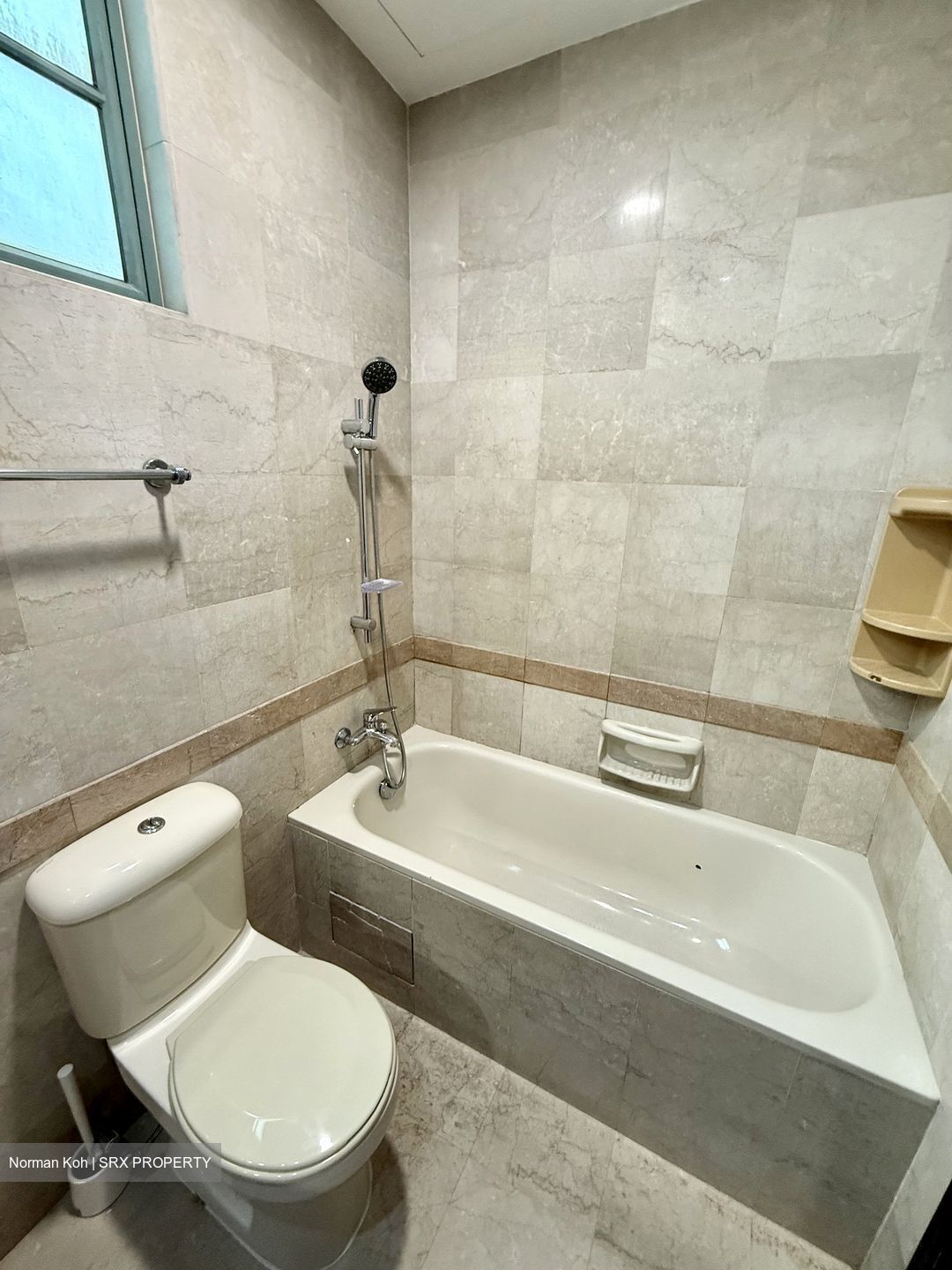 Tanglin Regency (D10), Condominium #608971881